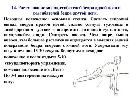 Возрастное снижение растяжимости мышц связано с