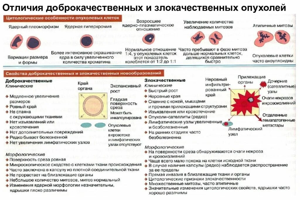 Как отличить доброкачественную опухоль от злокачественной. Признаки характерные для доброкачественных опухолей. Отличия доброкачественных и злокачественных опухолей таблица. Отличие доброкачественной опухоли от злокачественной опухоли. Как определить доброкачественная или злокачественная опухоль