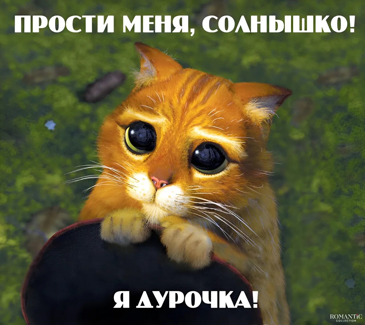 Проси фотку. Извинения. Извинения девушке. Смешные извинения. Извинения парню.