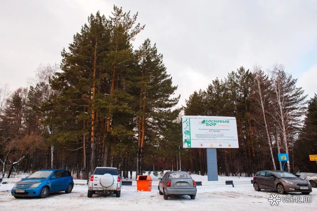 Сосновый бор камеры. Сосновый бор питер. Бузулукский бор зима. Озеро в сосновом бору ленинградская область. Сосновый бор камеры.