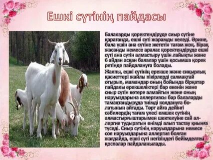 Аққұбаның аузындағы үлкен әтеш