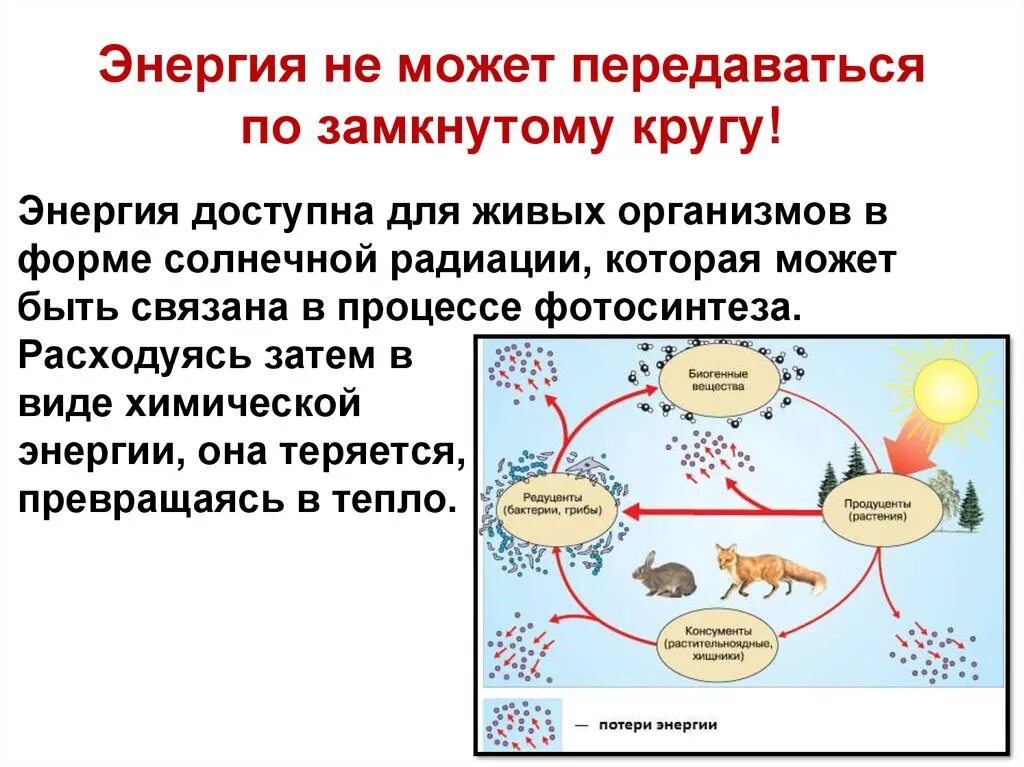 Круговорот это в биологии. Поток энергии в экосистеме (по ф. Рамаду, 1981). Схема биологического круговорота в экосистеме. Схема круговорота веществ и потока энергии. Круговорот веществ и поток энергии в экосистеме.