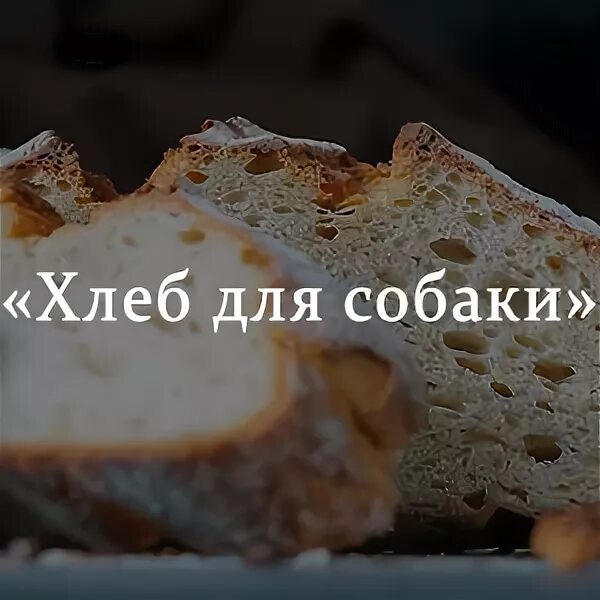 Хлеб для собаки читать краткое содержание. Собака хлеб. хлеб для собаки иллюстрации. хлеб для собаки обложка.