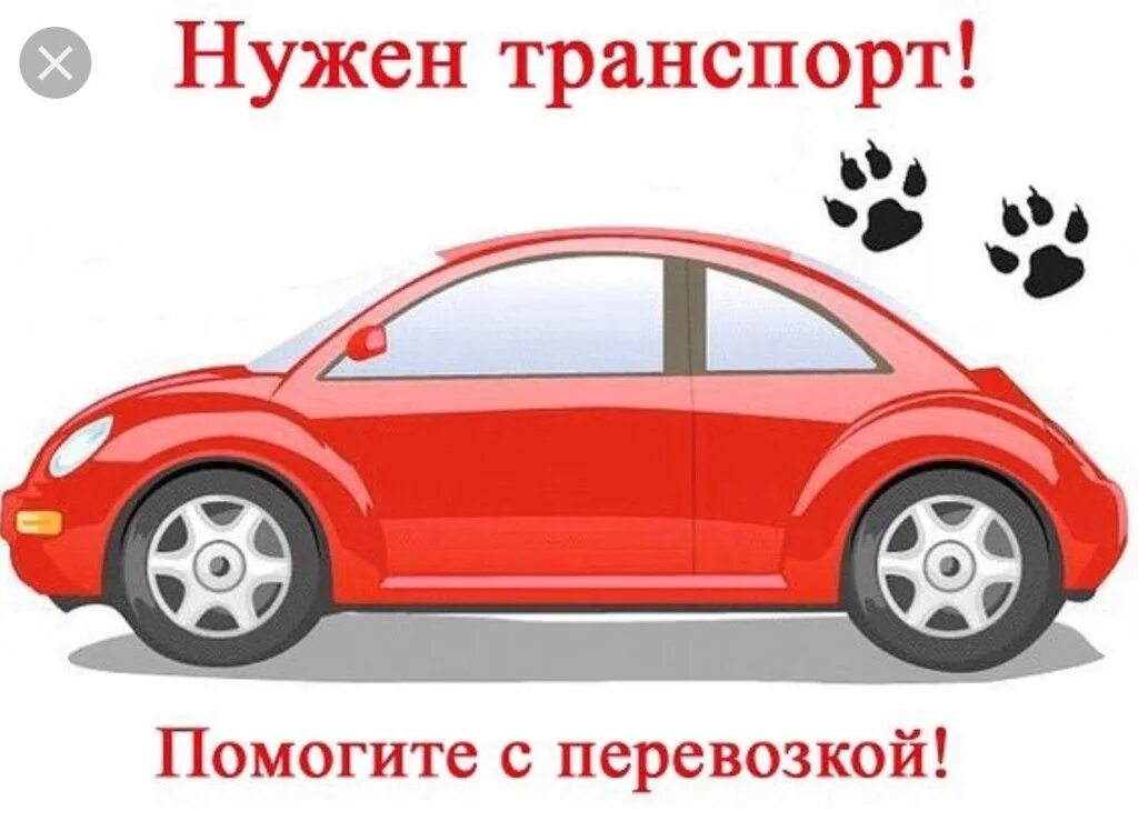Ищу помощь. Нужна помощь машиной. нужные машины. маша нужная. автоволонтер машина.