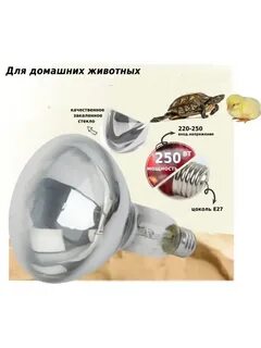 Лампа для курятника отзывы