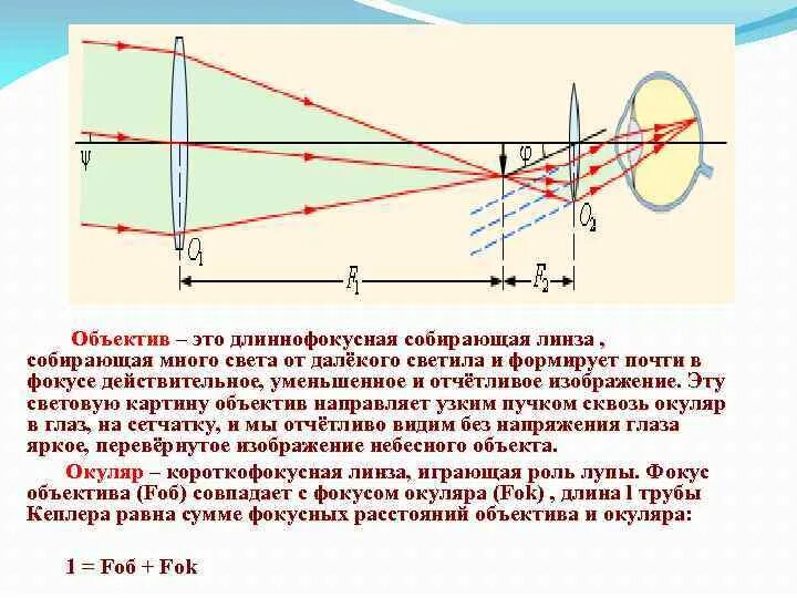 Длиннофокусная линза физика. Короткофокусная собирающая линза схема. Короткофокусная линза физика. Длиннофокусная линза изображение. Какие линзы дают изображение увеличенное