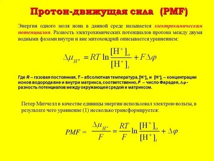 Потенциал протона
