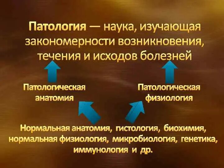 Аномалии науки. Патология это наука изучающая. Патологическая анатомия и патологическая физиология. Патология наука. Патологическая анатомия изучает.