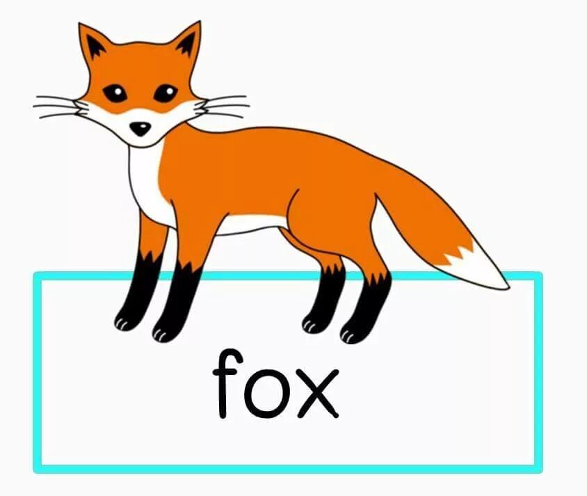 Fox карточка. Карточки лисы. Fox Flashcard. Лиса по английскому. Fox на русском языке