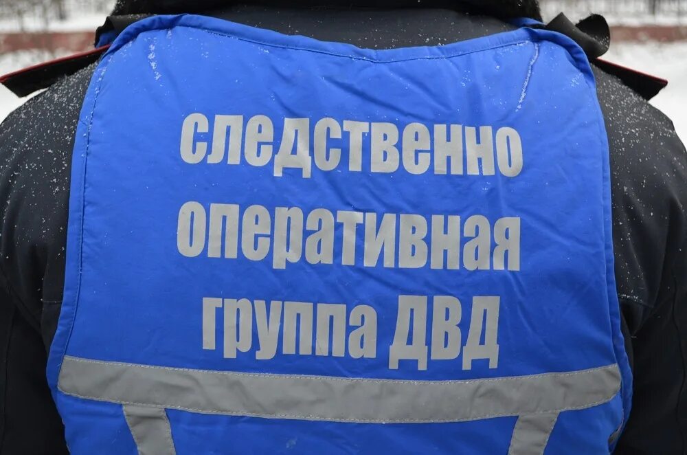 Виды следственно оперативных групп. Следмтаенно оперативная гр. следственно-оперативная группа. следственнооперативгая группа. сог следственно-оперативная группа.