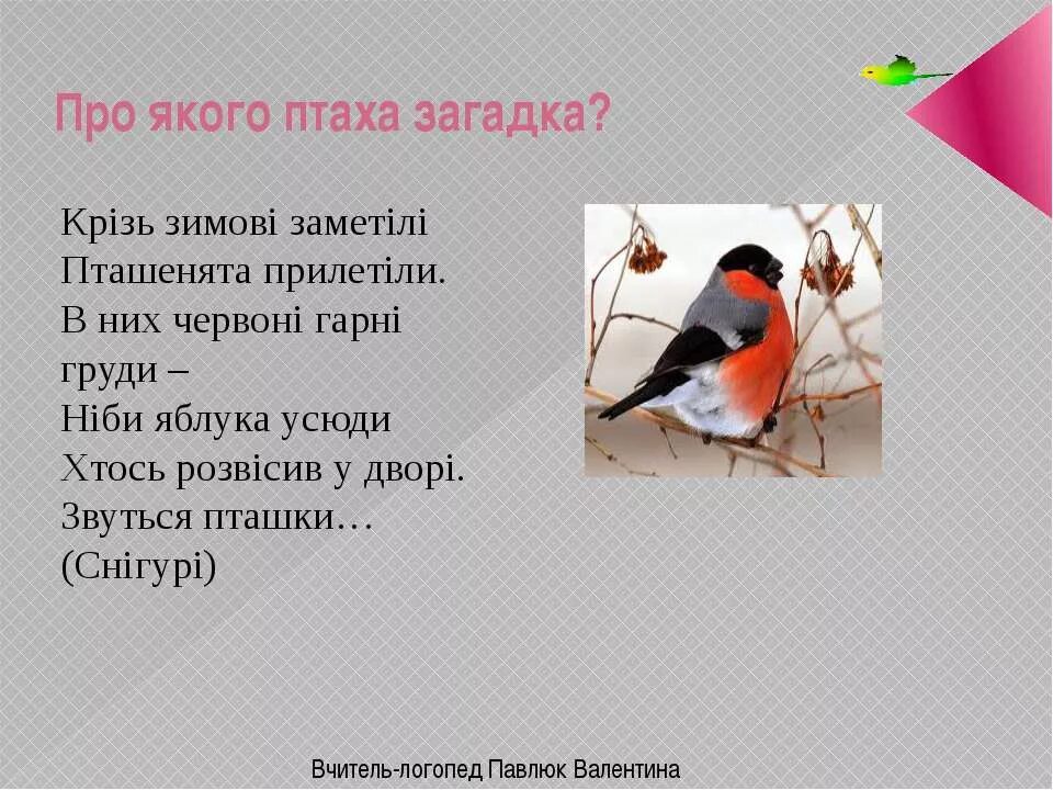 На пяти проводах отдыхает стая птах загадка. Загадка про пташек. Загадки о птах. Загадки на украинском про Зозулю. 3 Загадки про птахiв.