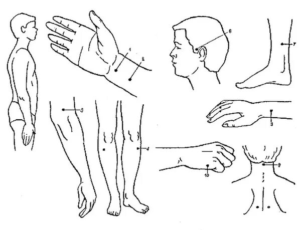 Основа точечного массажа. Точечный массаж при заикании точки. Точечный массаж при заикании у детей. Массажные точки при заикании у детей. Биологические точки при заикании.
