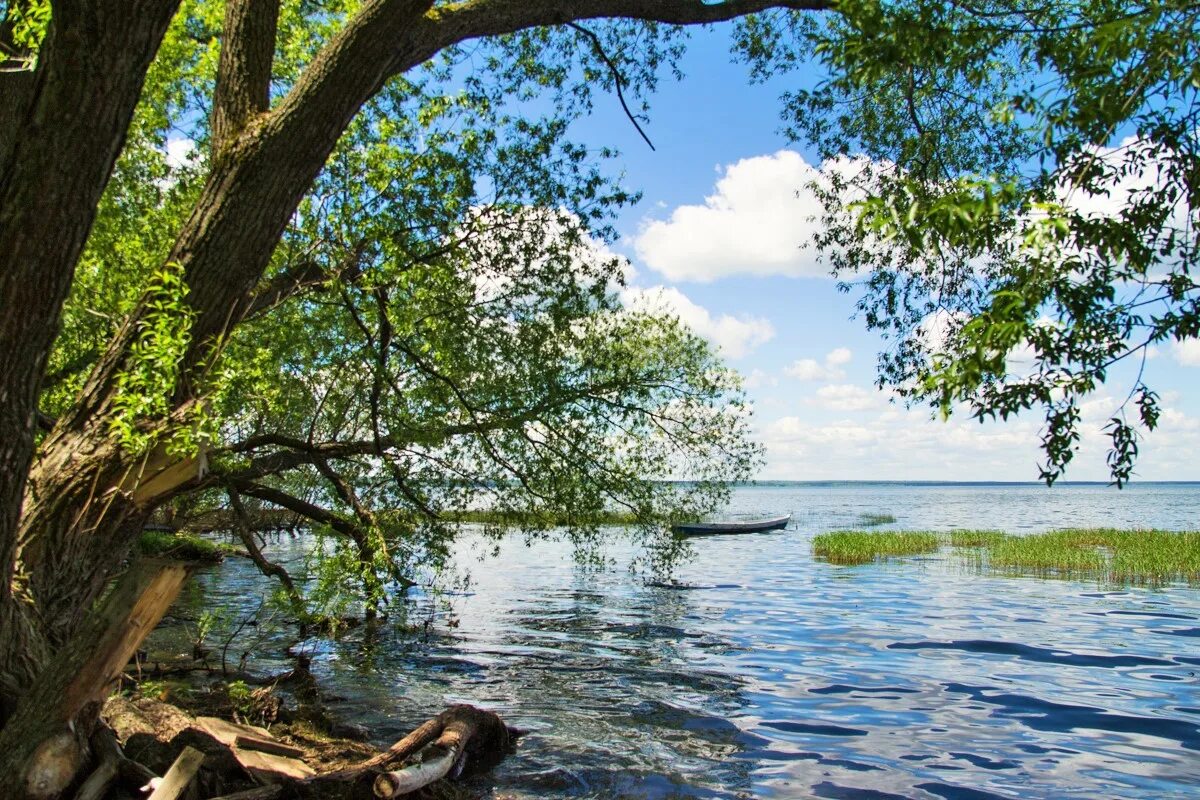 Плещеева озера в каком городе. Плещеево озеро Переславль Залесский. Парк Плещеево озеро Переславль Залесский. Плещеево озеро национальный парк. Плещеевское озеро в Переславле Залесском.