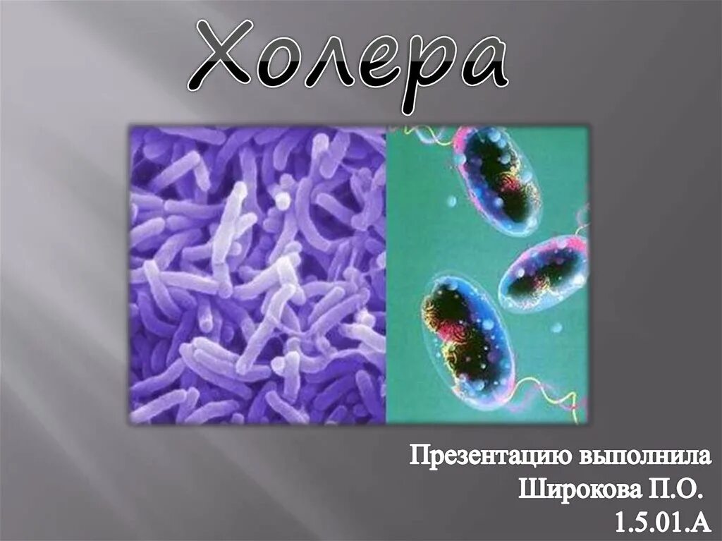 Презентация на тему холера. Презентация на тему профилактика холеры. Примеры холеры