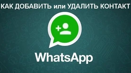 Знакомство вацап номера. Группы ватсап Биробиджан. ТАНЫШУЛАР группасы в контакте ватсап.