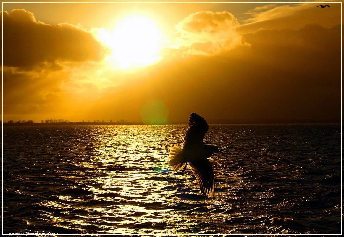 зима солнце люди. счастливая девушка. комета икеа-секи в 1965. мимо солнечный. комета икеа-секи.