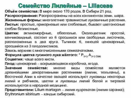 Лилейные растения это
