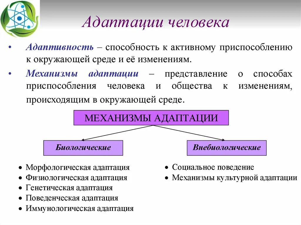 Разделение адаптации. Адаптация человека. Механизмы адаптации человека к окружающей среде. Основные механизмы адаптации. Примеры адаптации человека.