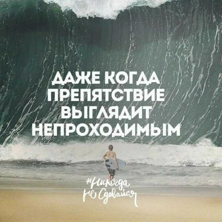 высказывания о безвыходной ситуации. не сдавайся цитаты. доброта картинки. цитаты про людей которые. ежик.