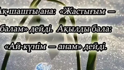 Анам туралы видео