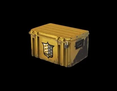 Csgo case
