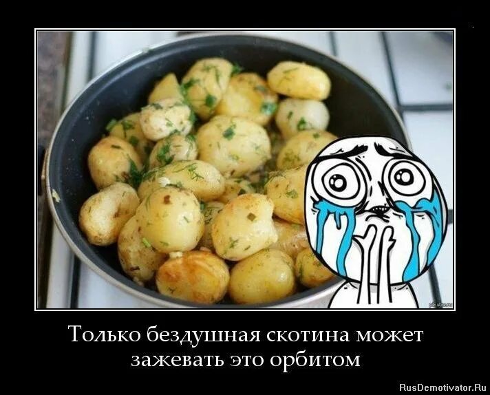 Картошка. Ира картошка. Виды картофеля. Девчонка на картошке. Смешная картошка.