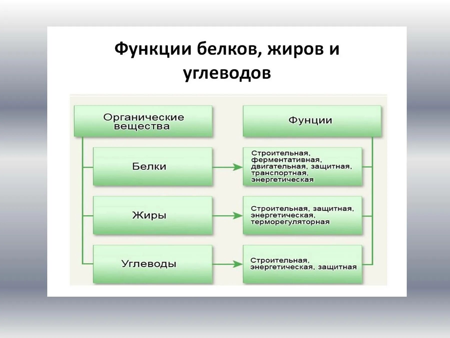 Функции белков жиров и углеводов биология 8 класс. Функции органических веществ белки жиры углеводы. Обмен веществ белки жиры и углеводы функции.