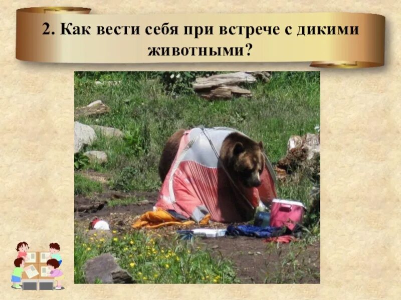 Дикие животные обж 8 класс