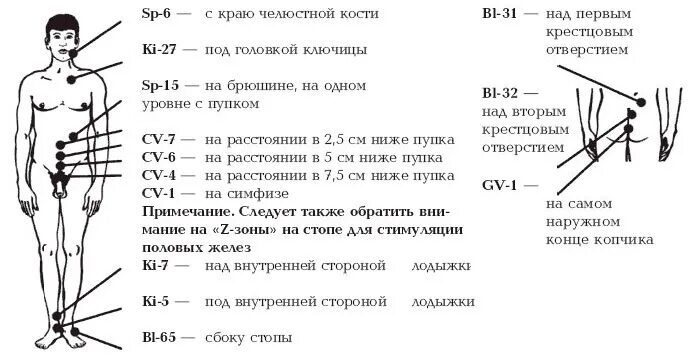 Точка простаты. Схема точек апитерапии. Апитерапия точки ужаливания схема. Пчелоужаливание схема постановки. Апитерапия схема постановки пчел.