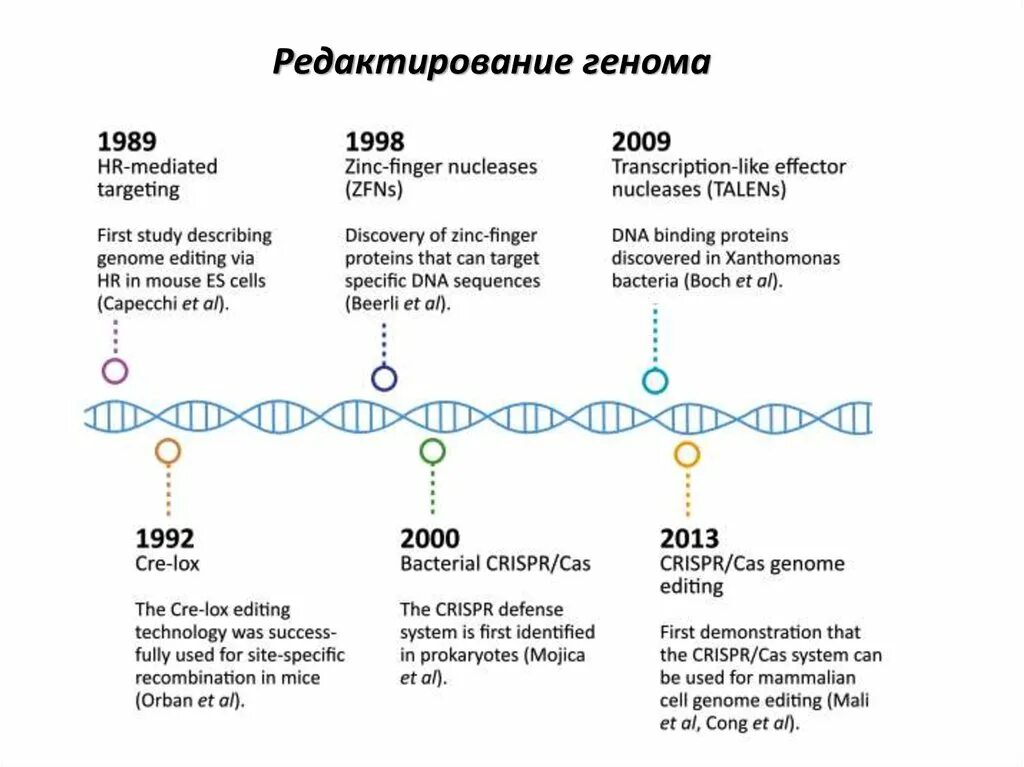 Можно изменить днк человека. Crispr редактирование генома человека. способы редактирования генома. методыоедактирования генома. методы геномного редактирования.