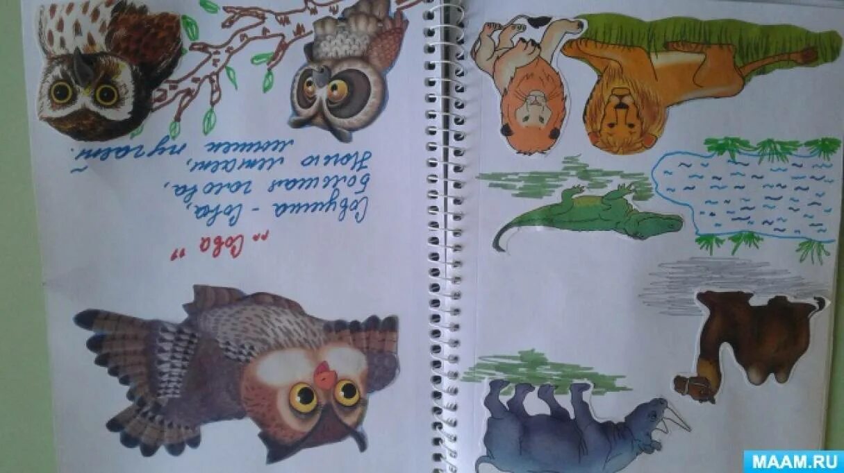 Книжка малышка про растения. Книжка-малышка берегите животных 3. Как оформить книжку малышку береги животных. Книжку малышку береги животных. Книжку малышку береги животных.