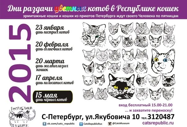 Республика кошек ул якубовича 10 меню. Якубовича 10 республика кошек. республика кошек меню. кошачий приют спб. сертификаты с эрмитажным котом.