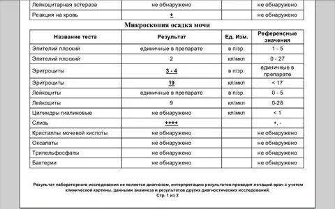 Моча после приема фурагина