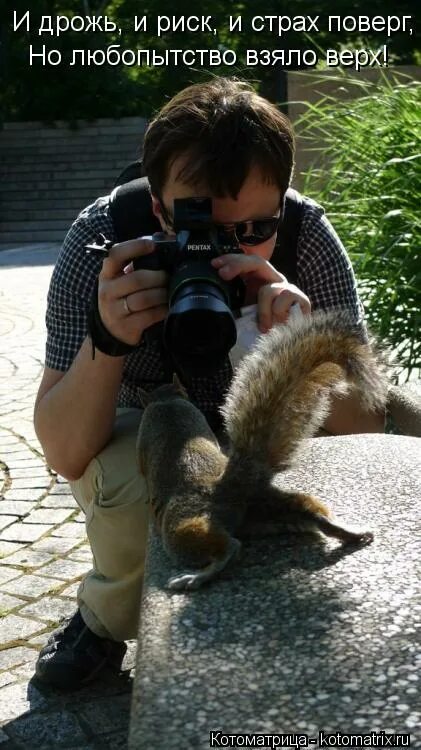 Взять вверх. Когда обломовщина победила. At the peak of your career. Взять вверх. Взять вверх.