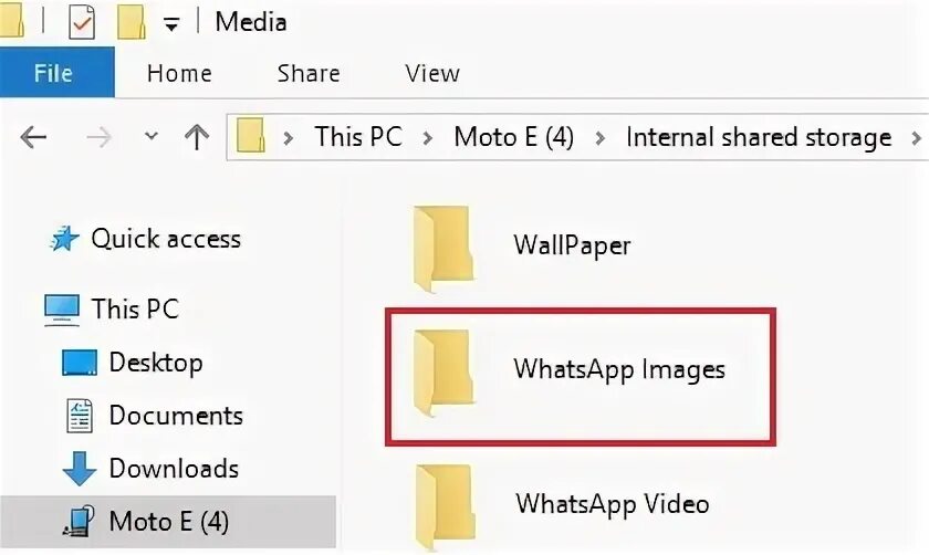Database папка whatsapp