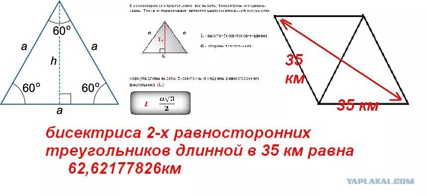 Высота равностороннего 13 3. Высота в равностороннем треугольнике равна. Биссектриса равностороннего треугольника равна. Соотношения в равностороннем треугольнике. Биссектриса равностороннего треугольника формула.