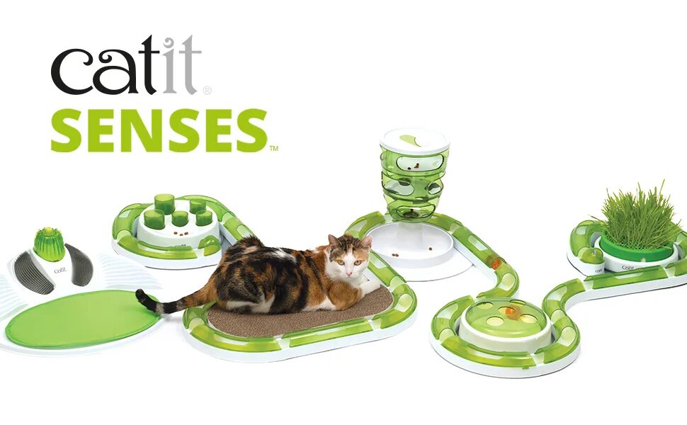 0 43154w. Hagen catit design senses игровой круг для кошек. Senses кошки. Catit. Игрушка для кошек шарик в лабиринте.