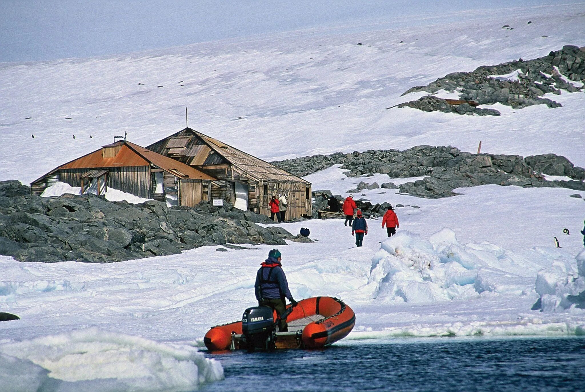 Условия быта полярников. Китовая бухта Антарктида. Моусон (антарктическая станция). Бухта Коммонвелс в Антарктиде. Дома в Антарктиде.