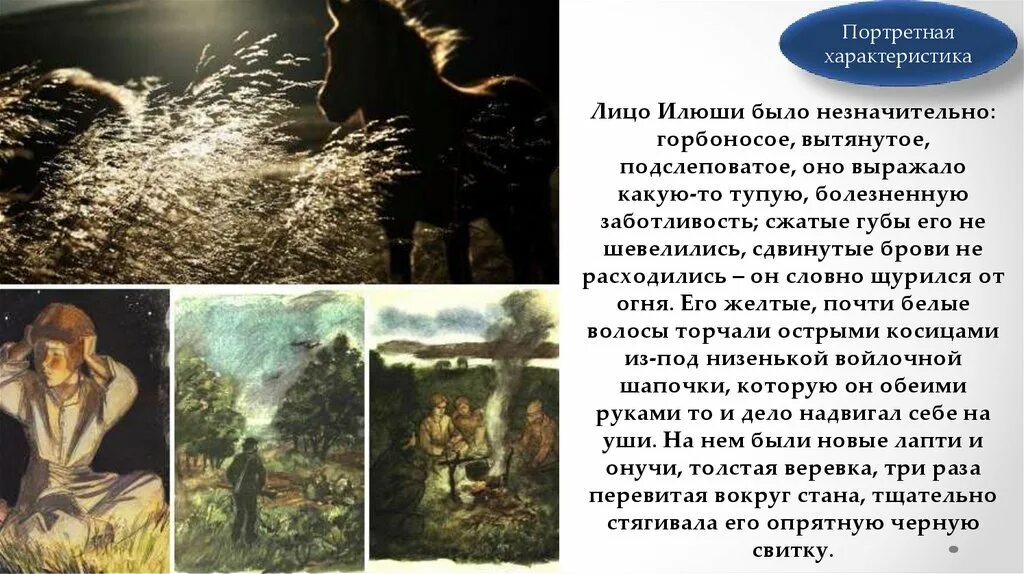 Илюша был впечатлительным. Илюша бежин луг тургенева. илюша в рассказе бежин луг. бежин луг описание илюши.