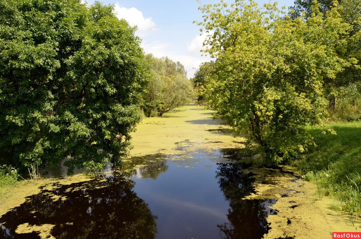 Город на реке мухавец 5 букв. Река мухавец беларусь. Лес муховец владимирская область. Город на реке мухавец 5 букв. Круизы по днепровско-бугскому каналу и рекам мухавец, пина и припять.