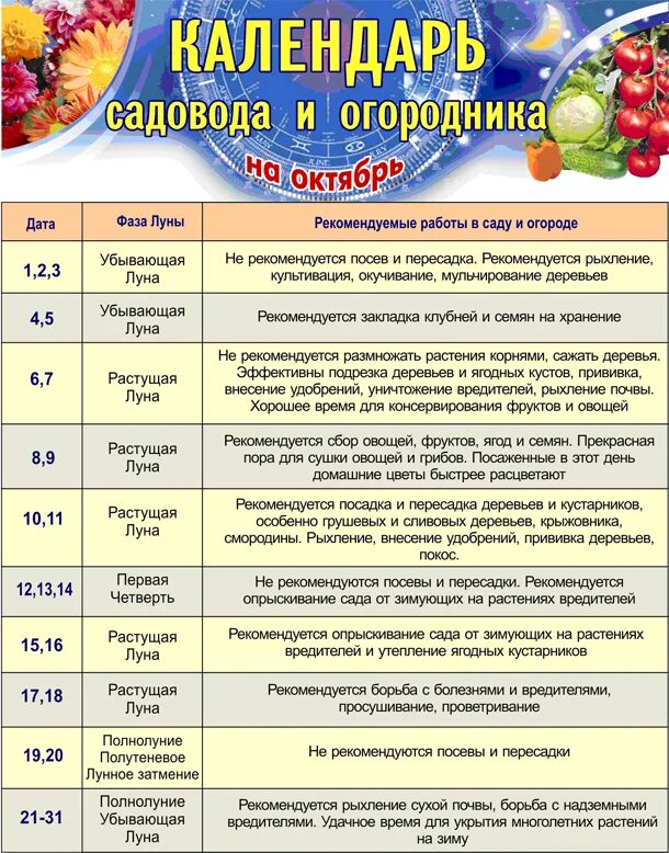 Планирование работ в саду. Планирование работы в огороде. Календарь осенних работ в саду и огороде. План работ на огороде. Календарь работ садовода