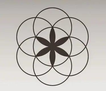 Цветы жизни 7
