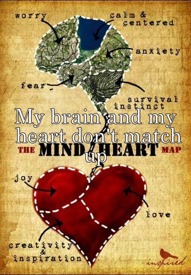 Карта в виде сердца. Мозг и сердце. Mind and Heart. Сердце и мозг любовь. Heart over mind перевод на русский