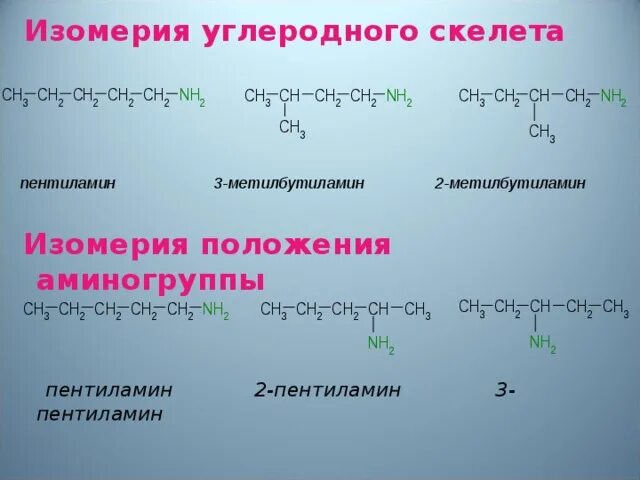 Изомерия углеродного скелета для пентиламин. Амины изомерия углеродного скелета c4h9n. Углеродный скелет. Пентиламин изомеры. Амины изомерия