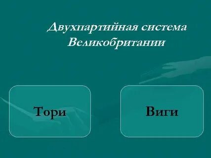 Виги