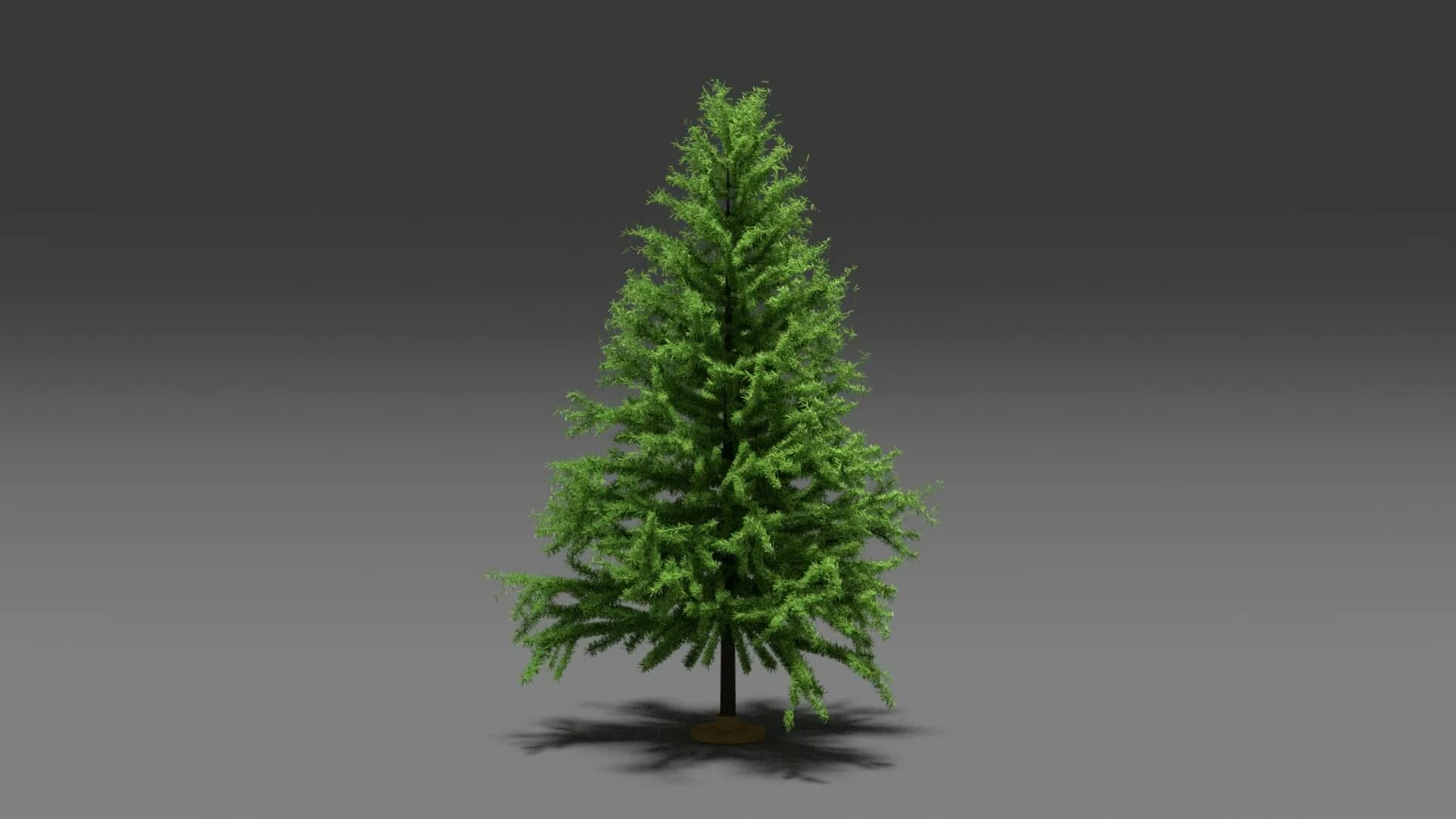 Дерево в блендер. Деревья в blender 3d. ель в блендер. елка в блендере. новогодняя елка в блендере.