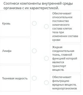 Проанализируйте таблицу компоненты внутренней среды