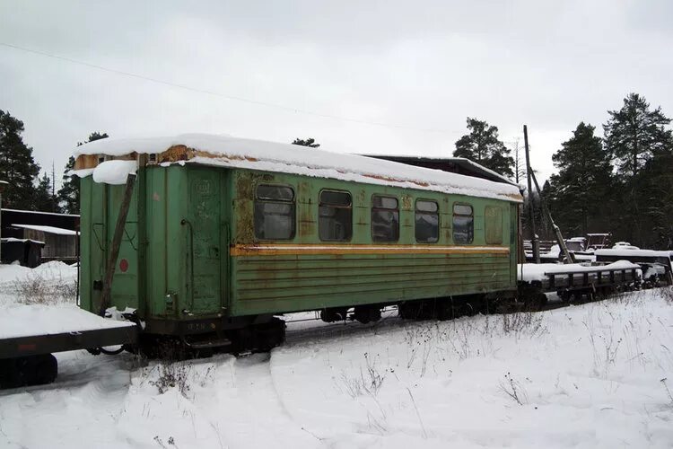 Весь вагон радовался моей