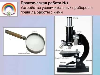 Изображение получаемое с помощью микроскопа является