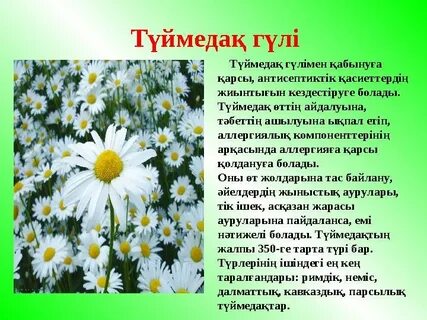 Кесу тілегі бар басып шығарылатын түймедақ үлгісі